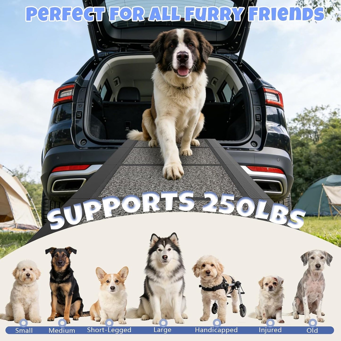 Dog Ramp for Car 71" X 20", Folding Pet Ramp for Large Dogs with Non-Slip Rug Surface, Portable Dog Car Ramp for SUV Car & Truck