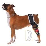 XUVIRA dog knee brace for hip dislocation and ligament injury