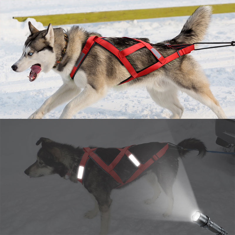 Dog pull cart trailer with tow rope and collar